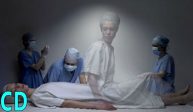 5 Cases of Human Soul Transfers after Organ Transplants
