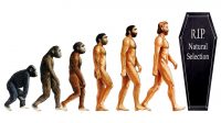 Is Human Evolution Dead? – One of 4 Ways Humans Could Evolve in the future